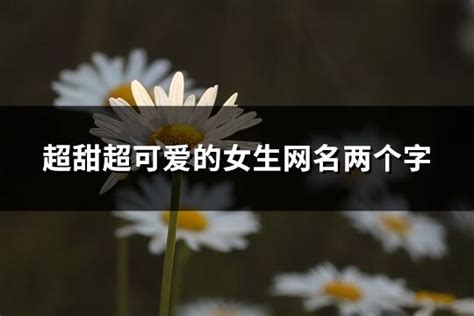 可愛網名兩個字|超甜超可爱的女生网名两个字 (精选1265个)